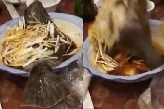 Restoranda balıq sifariş verən müştəri həyatının şokunu yaşadı - İnanılmaz - VİDEO
