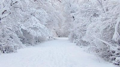 Hava XƏBƏRDARLIĞI: Qar yağacaq, yollar buz bağlayacaq