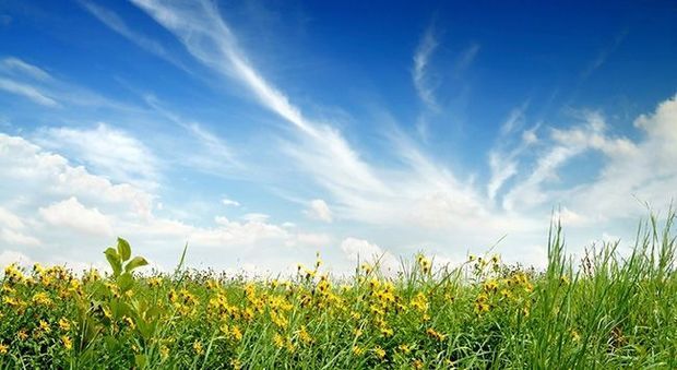 Sabahın hava proqnozu açıqlandı