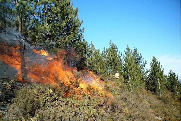 Ermənilərin cəbhədə törətdiyi yanğın yaşayış məntəqələrinə çatıb FOTO