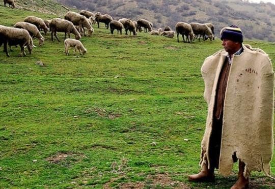 Bu peşə sahiblərinə qız vermirlər 2 min manat maaş alsalar da...