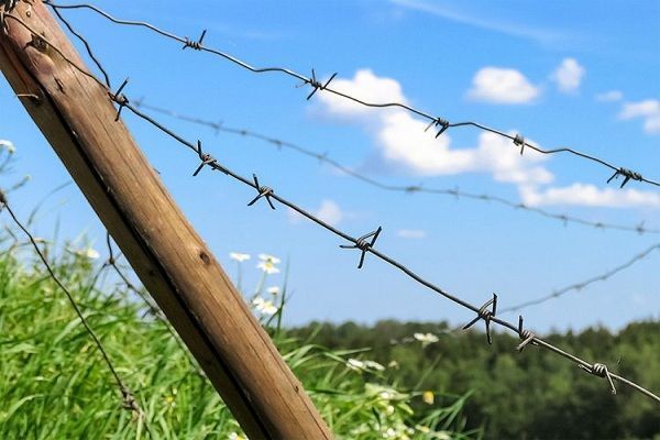 DSX erməni təxribatının qarşısını aldı: "Mil-Muğan"ı partlatmaq istədilər-FOTO