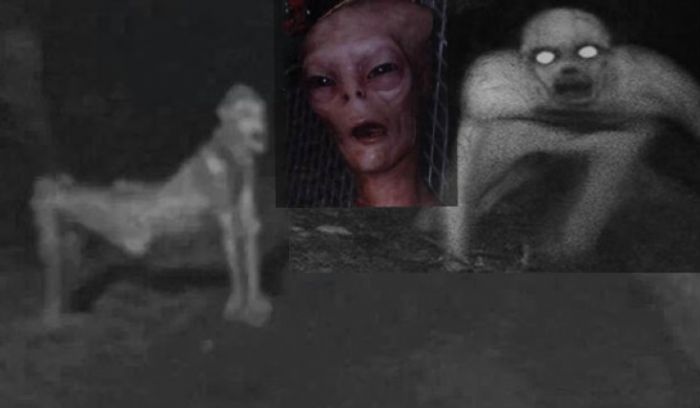 DİQQƏT: Yadplanetlilər qızları qaçırır, HAMİLƏ edirlər ŞOK İDDİA