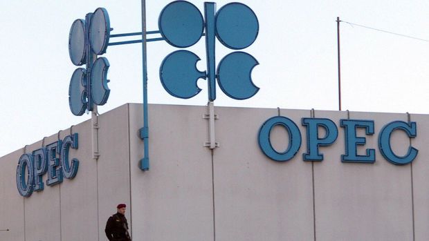 OPEC-in neft hasilatı artıb