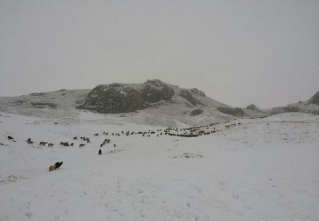 Azərbaycana ilk qar yağdı FOTO