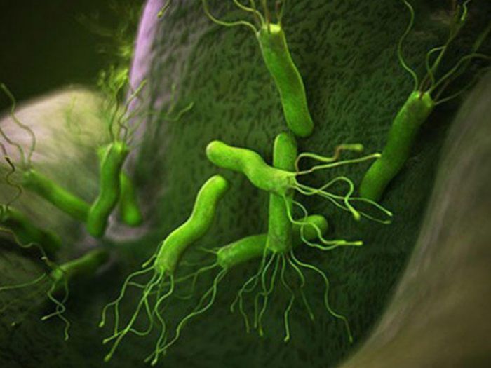 Ən hiyləgər bakteriya haqqında 10 FAKT - Xərçəngə də səbəb olur!