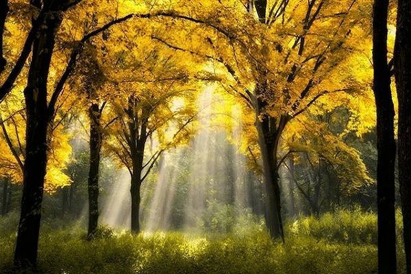 Azərbaycanda havanın temperaturu tədricən yüksələcək PROQNOZ