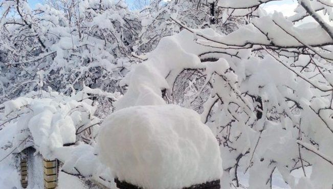 Lerikə güclü qar yağdı