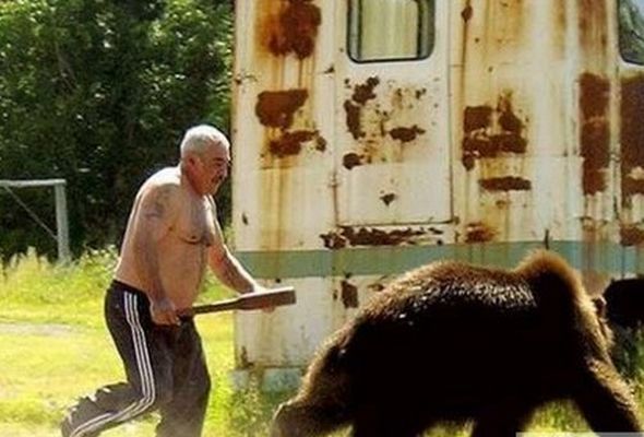 Qubada ayını öldürüb, dərisini soydular