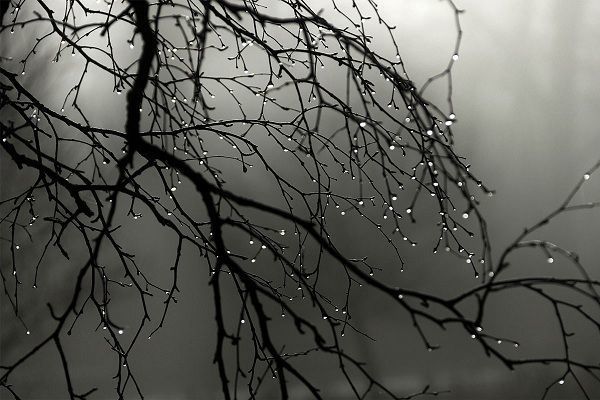 Sinoptiklərdən hava ilə bağlı XƏBƏRDARLIQ