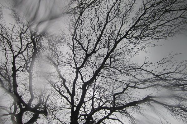 İnsanlarda narahatlıq hissi yarana bilər Sabahın havası