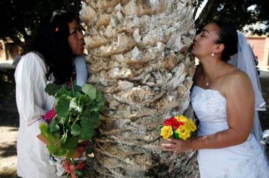 Bu ölkədə qadınlar ağacla evlənir - FOTOLAR