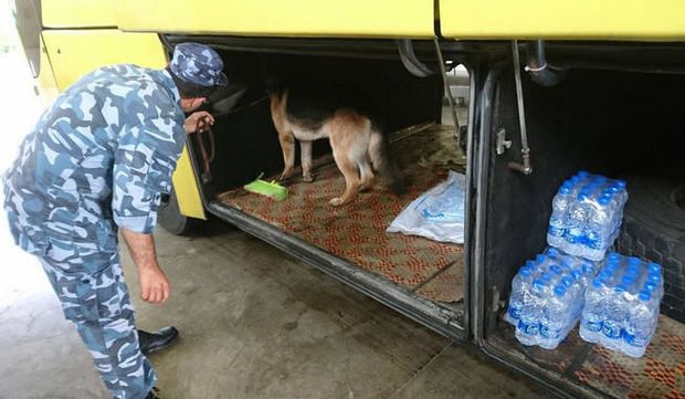 Gömrükdə it narkotik tapıb