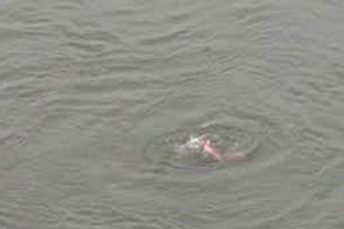 Mingəçevirdə 3 yaşlı körpə göldə boğuldu