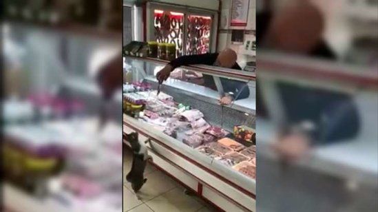 Türkiyədə çəkilən bu video izlənmə rekordu qırır "Növbəti dəfə pul gətir..." - VİDEO