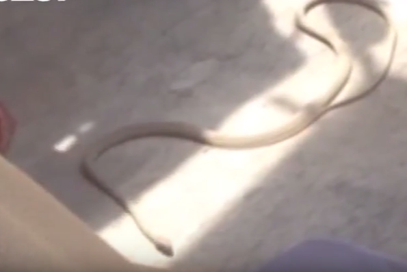 Bakıda yaşayış binasına ilan daraşıb - sakinlər təşvişdə