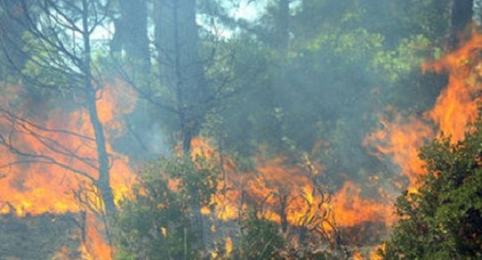 "Altıağac"dakı yanğın söndürüldü