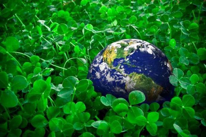 Azərbaycanda polis yüzlərlə şəxsi bu əməlinə görə CƏRİMƏLƏYİR