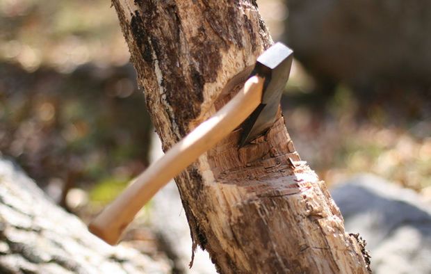 Təbiətə dəyən zərərə görə baş həkimin işi prokurorluğa göndərildi FOTO