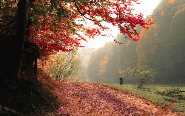 Havanın temperaturu aşağı enəcək