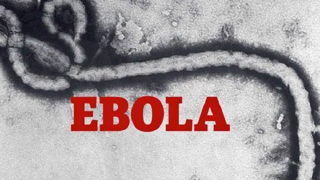 BMT əməkdaşı Ebola virusuna yoluxub