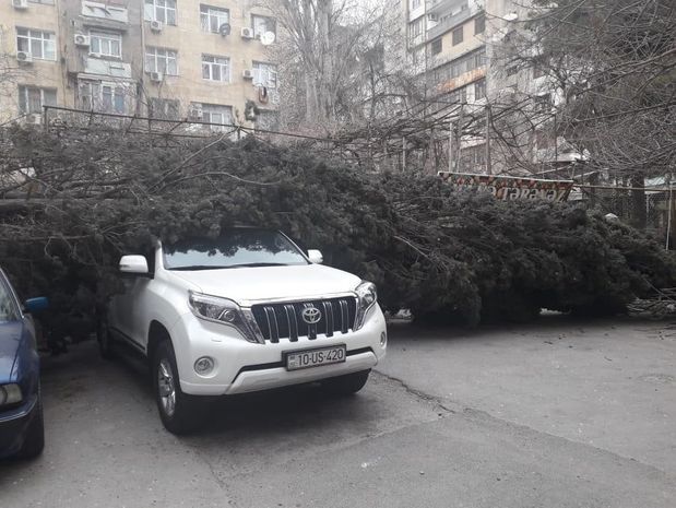Güclü külək ağacı “Prado” və “BMW”nin üzərinə aşırdı