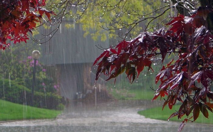 Bir sıra rayonlara leysan yağış yağıb, dolu düşüb - FAKTİKİ HAVA