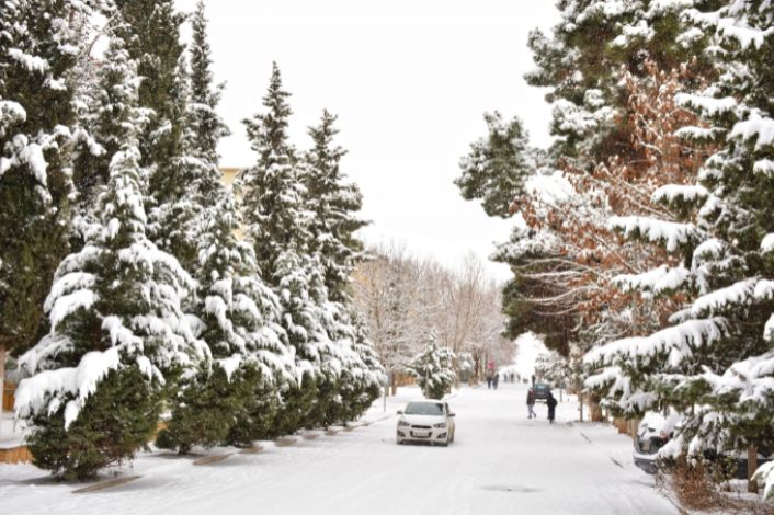 Bu rayonlara qar yağır  - FAKTİKİ HAVA