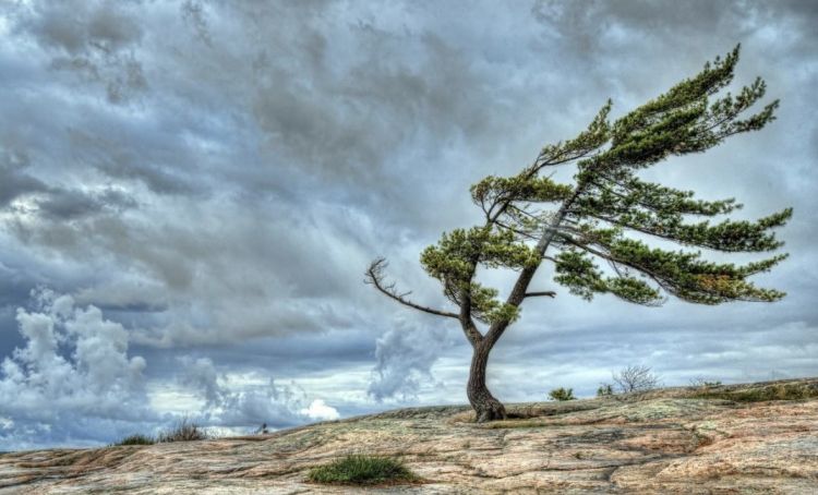 Bəzi yerlərdə külək güclənəcək - XƏBƏRDARLIQ Bəzi yerlərdə külək güclənəcək  - XƏBƏRDARLIQ  SOSİAL